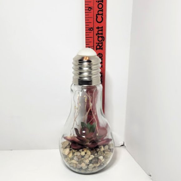 FAUX FOLIAGE TERRARUIM IN BULB WITH LED STRING LIGHTS 7"X3.5" - Picture 4 of 5